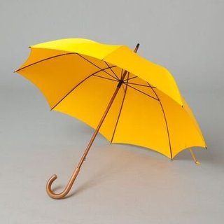 Umbrella